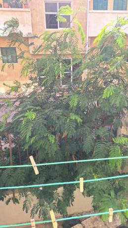 Imagen general del Sweet Home Hostel - للأجانب فقط. Foto 1