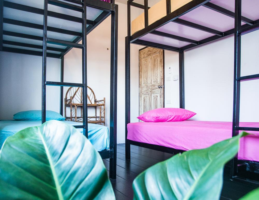 Imagen general del Sweet Life Community Guesthouse. Foto 8