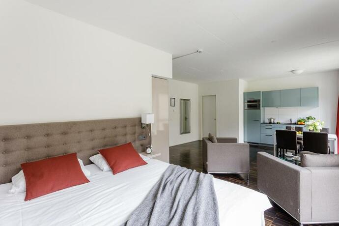 Imagen general del Swiss Star Home. Foto 3