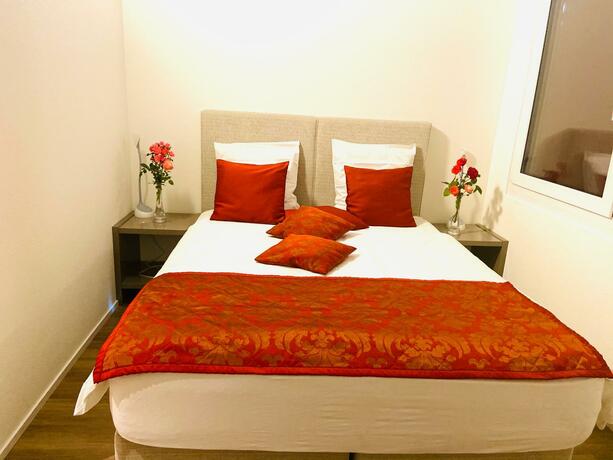 Imagen general del Swiss Star Home. Foto 18