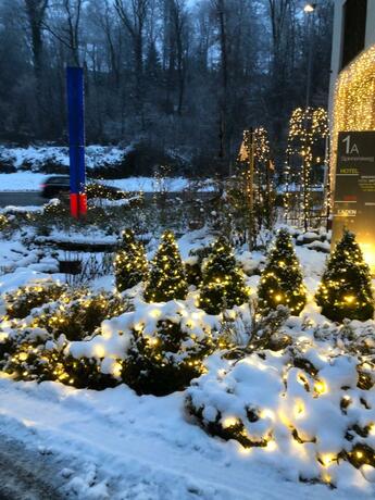 Imagen general del Swiss Star Home. Foto 32