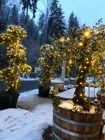 Imagen general del Swiss Star Home. Foto 33