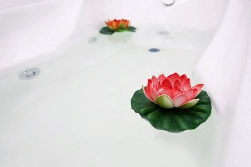 Imagen general del TGC Inn. Foto 26