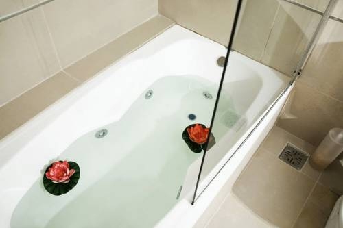 Imagen general del TGC Inn. Foto 29