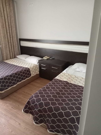 Imagen de la habitación del THE ROSE OTEL. Foto 13