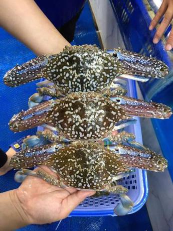 Imagen general del T&acirc;n Tiến Hotel. Foto 4