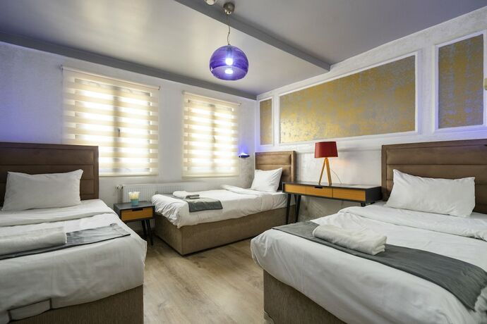 Imagen de la habitación del Taksim Alya Suites. Foto 13