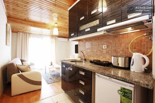 Imagen de la habitación del Taksim Guest Residence. Foto 99
