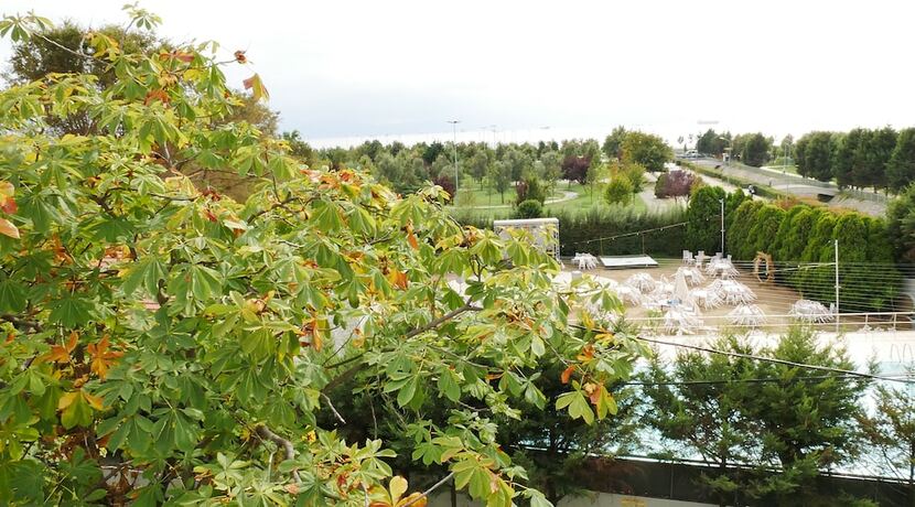 Imagen general del Talen Otel. Foto 3