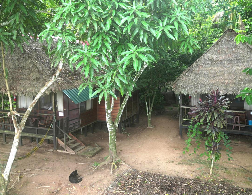 Imagen general del Tambopata River. Foto 3
