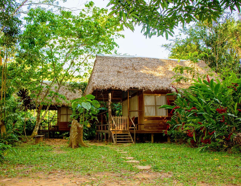 Imagen general del Tambopata River. Foto 11
