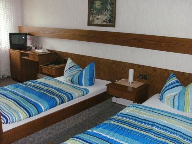 Imagen de la habitación del Tannenhof, Erlenbach am Main. Foto 14