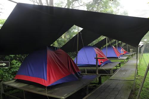 Imagen general del Tapian Raya Camp. Foto 3