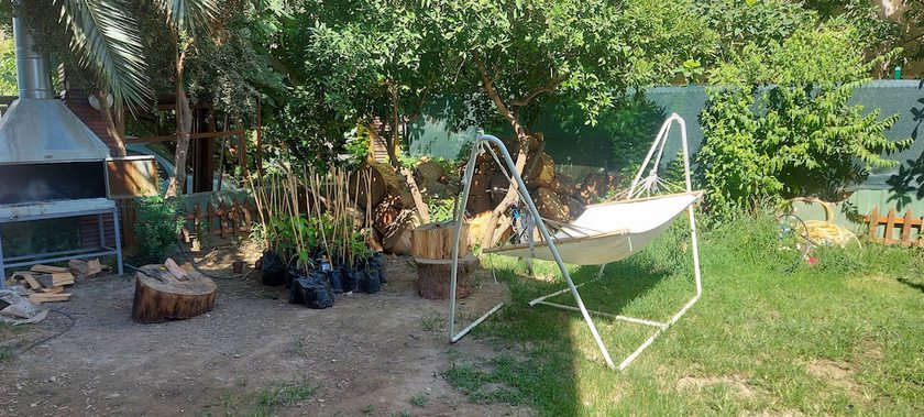 Imagen de los exteriores del Tayfun Hotel. Foto 12