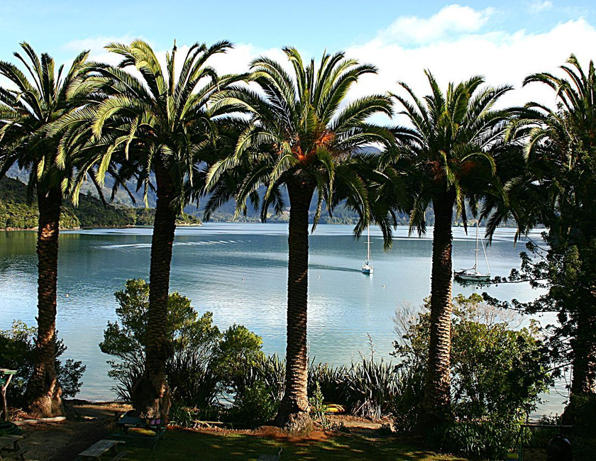 Imagen general del Te Mahia Bay Resort. Foto 1