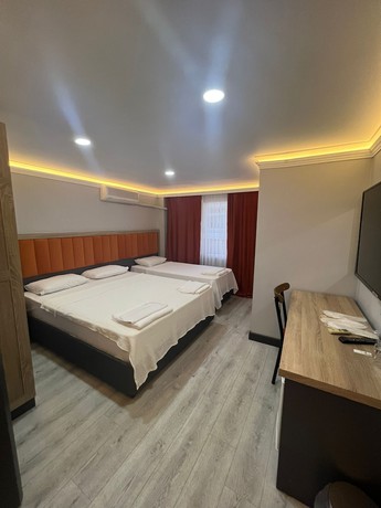 Imagen de la habitación del Temel Park Otel. Foto 5