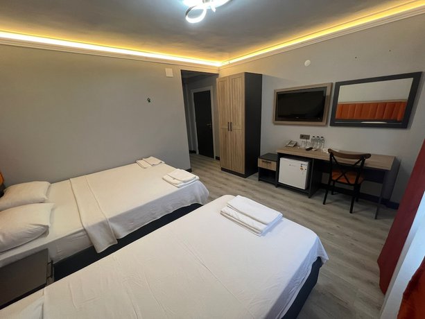 Imagen de la habitación del Temel Park Otel. Foto 11