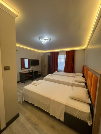 Imagen de la habitación del Temel Park Otel. Foto 12