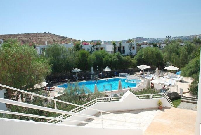 Imagen de la piscina del Tenda Hotel. Foto 13