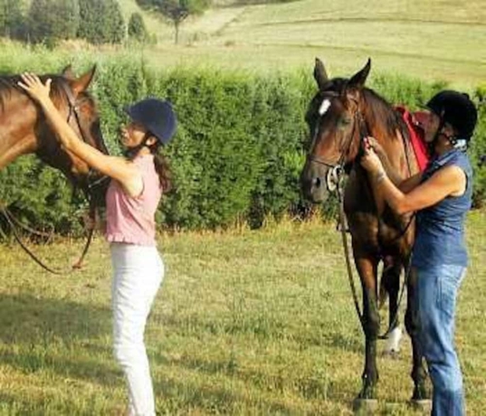 Imagen general del Tenuta Agricola Fonte Di Papa. Foto 2