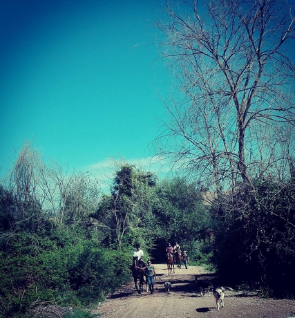 Imagen general del Tenuta Agricola Fonte Di Papa. Foto 3