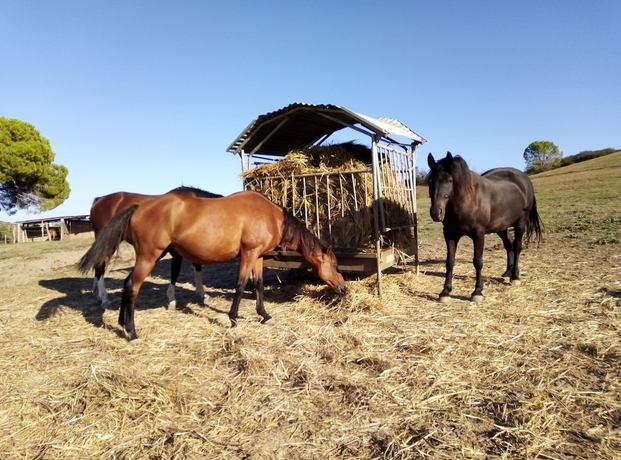 Imagen general del Tenuta Agricola Fonte Di Papa. Foto 4