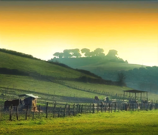 Imagen de los exteriores del Tenuta Agricola Fonte Di Papa. Foto 15