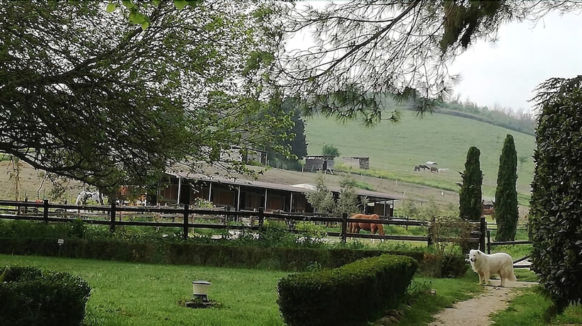 Imagen de los exteriores del Tenuta Agricola Fonte Di Papa. Foto 17