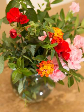 Imagen de los interiores del Tenuta La Bandita. Foto 20