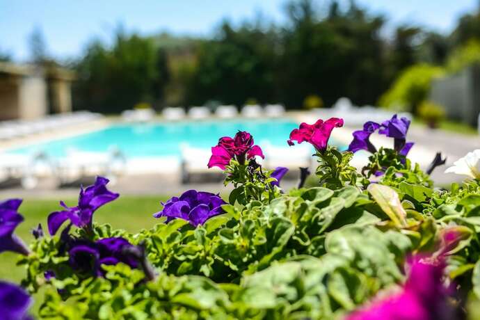 Imagen general del Tenuta Santicuti. Foto 7