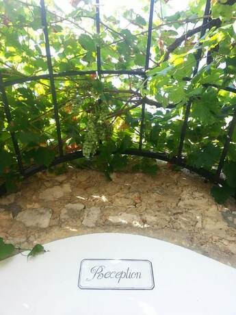 Imagen general del Tenuta de Marco. Foto 11