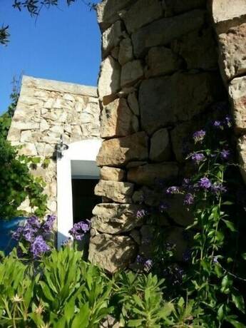 Imagen general del Tenuta de Marco. Foto 15