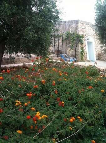 Imagen general del Tenuta de Marco. Foto 16