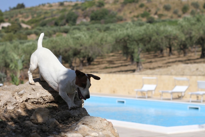 Imagen de la piscina del Tenute Piazza Countryhouse. Foto 15