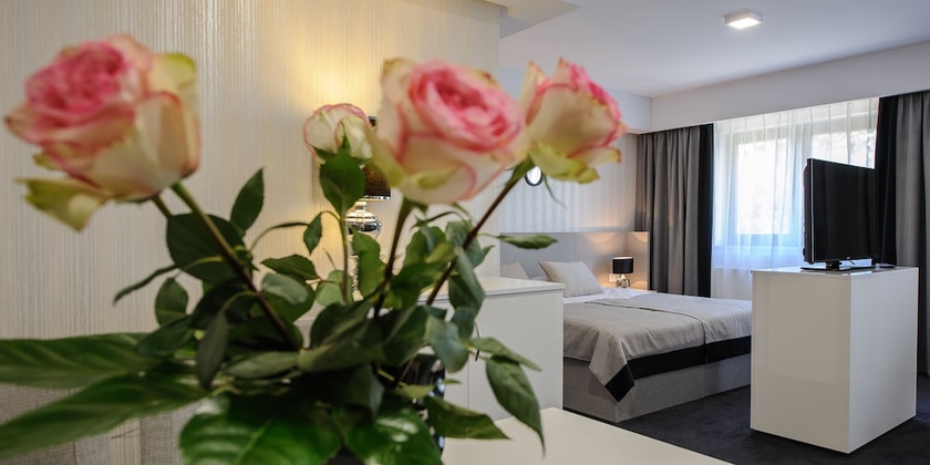 Imagen de la habitación del Teodorka Hotel & Spa. Foto 8