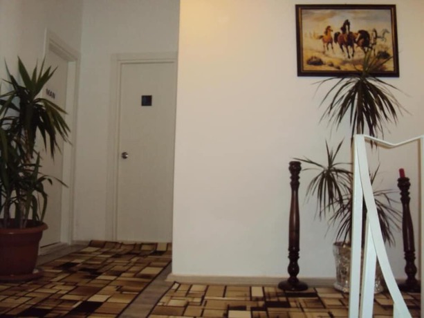 Imagen de los interiores del Teos Hotel. Foto 20