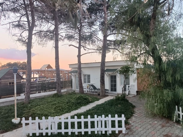 Imagen de la habitación del Teos Ormanci Tatil Koyu. Foto 4