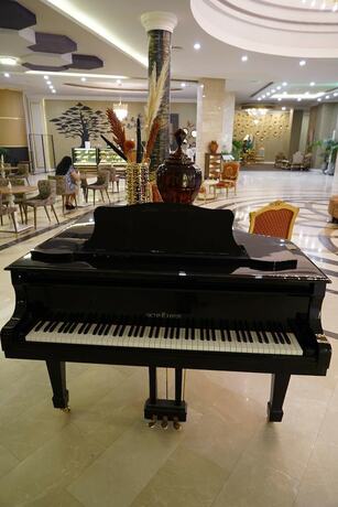 Imagen general del Terma City Hotel. Foto 9