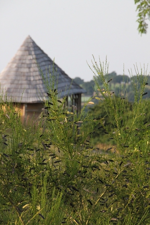 Imagen de la habitación del Terragora Lodges. Foto 18