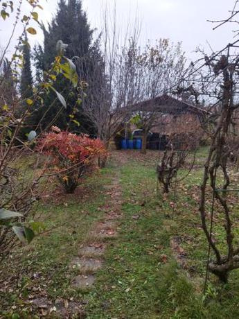 Imagen general del Terreno della nonna. Foto 4