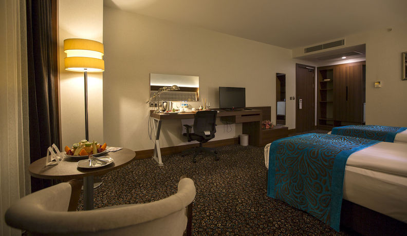 Imagen de la habitación del Teymur Continental Hotel. Foto 2