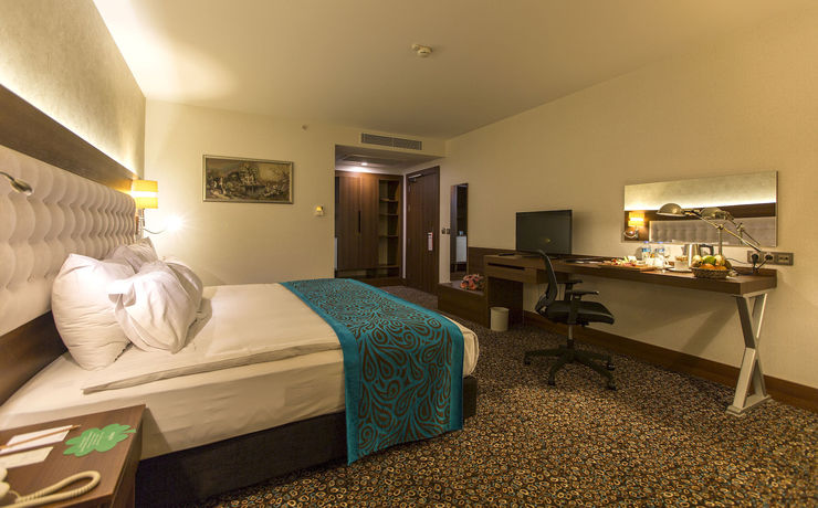 Imagen de la habitación del Teymur Continental Hotel. Foto 7