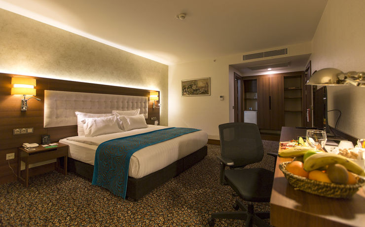 Imagen de la habitación del Teymur Continental Hotel. Foto 8