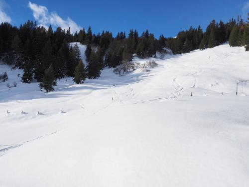 Imagen general del Tgantieni sot - Haus mit Herz. Foto 7