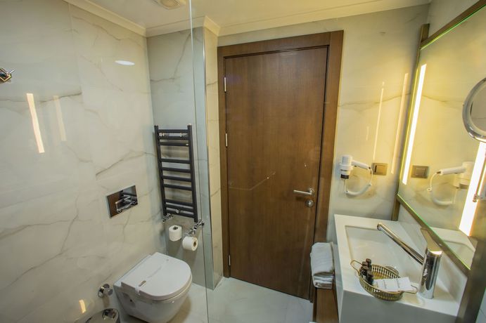 Imagen de la habitación del The Alpfine Hotel. Foto 15