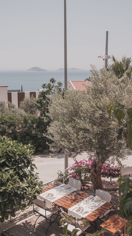 Imagen general del The Bay View Hotel Kalkan. Foto 4