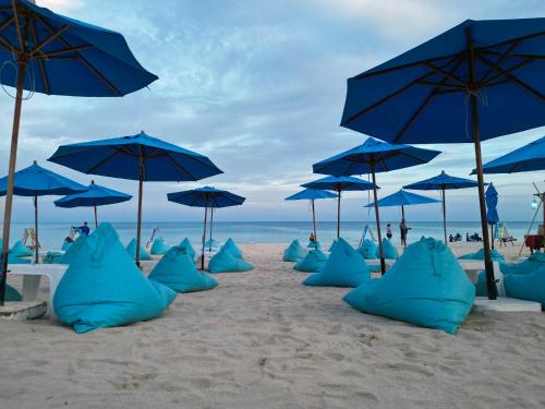 Imagen general del The Beachfront Hostel. Foto 10