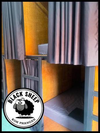 Imagen general del The Black Sheep Hostel. Foto 19