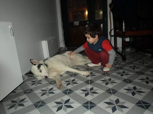 Imagen general del The Bridge Hotel. Foto 10
