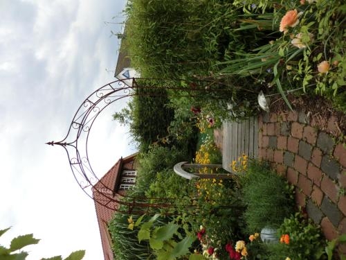 Imagen general del The Cosy Home. Foto 3